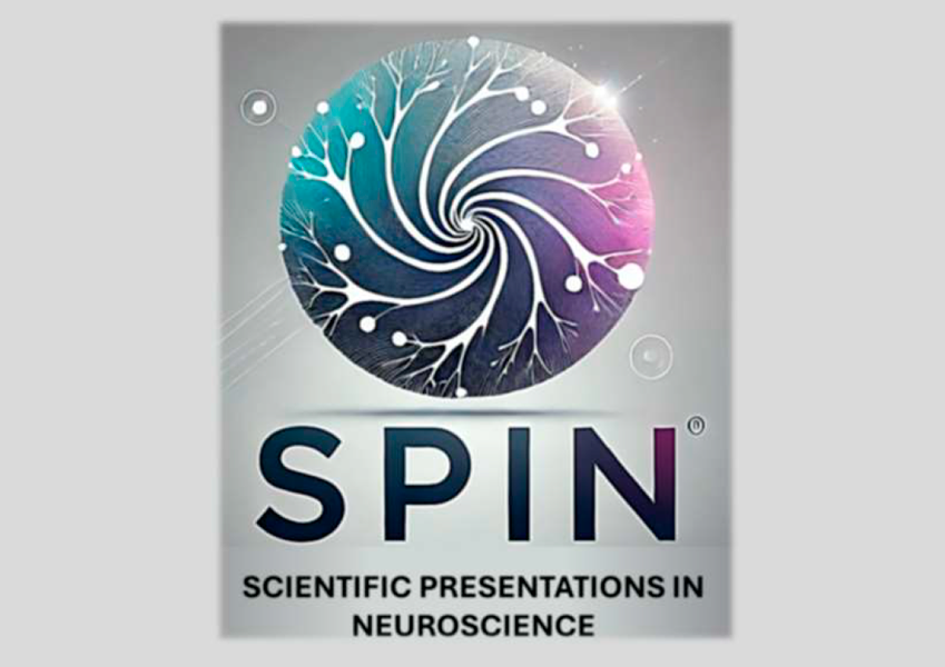 logo spin